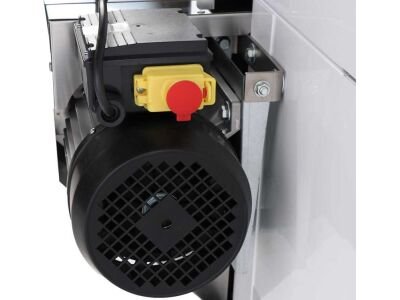 Despalilladora eléctrica Grifo DVEP20R con bomba y rodillos de caucho alimentario, 2000 kg/h - Nuevo - Imagen 9
